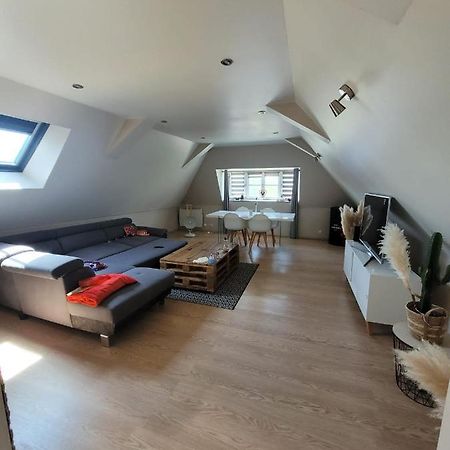 Loft Spacieux Et Lumineux Oloron-Sainte-Marie Exterior photo